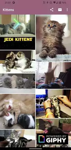 Play Share Kittens as an online game Share Kittens with UptoPlay