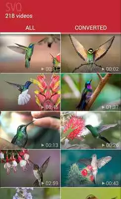 Play Share Video Quickly Play Share Video Quickly