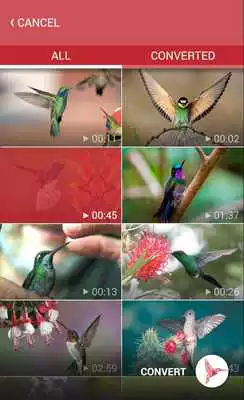 Play Share Video Quickly Play Share Video Quickly