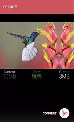 Play Share Video Quickly Play Share Video Quickly