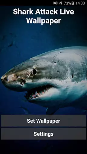 Play Shark Attack Live Wallpaper