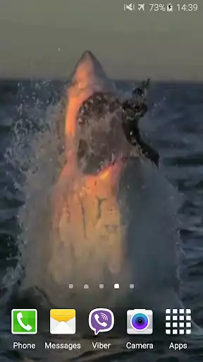 Play Shark Attack Live Wallpaper