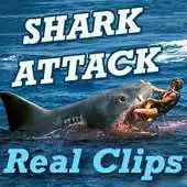 Free play online SHARK Attack Videos - Live Real Time Funny Clips APK