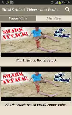 Play SHARK Attack Videos - Live Real Time Funny Clips Play SHARK Attack Videos - Live Real Time Funny Clips