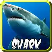 Free play online Shark Bite Attack APK Free play online Shark Bite Attack APK