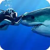 Free play online Shark HD Wallpaper APK Free play online Shark HD Wallpaper APK