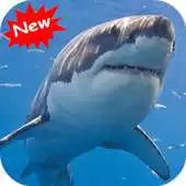 Free play online Sharks HD APK