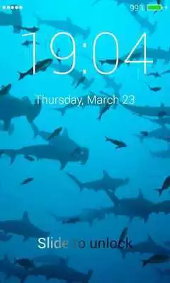 Play Sharks Lock Screen