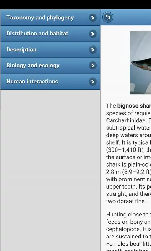 Play Sharks