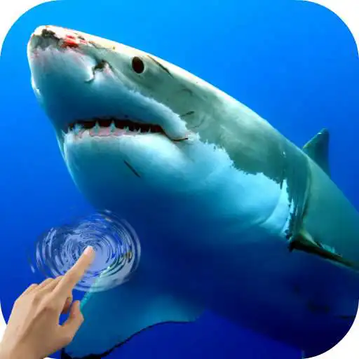 Run free android online Sharks Underwater APK