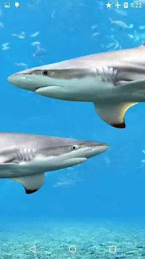 Play APK Sharks Underwater  and enjoy Sharks Underwater with UptoPlay com.sapps.sharksunderwater