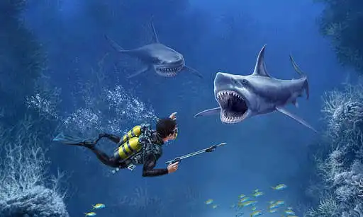 Play Shark VR sharks games for VR and enjoy Shark VR sharks games for VR with UptoPlay Play Shark VR sharks games for VR and enjoy Shark VR sharks games for VR with UptoPlay