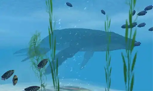 Play Shark VR sharks games for VR as an online game online Shark VR sharks games for VR with UptoPlay com.lakento.sharksvr Play Shark VR sharks games for VR as an online game Shark VR sharks games for VR with UptoPlay