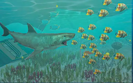 Play Shark  World Simulator Hungry Attack  and enjoy Shark  World Simulator Hungry Attack with UptoPlay