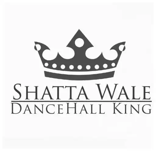 Play Shatta Wale Music APK