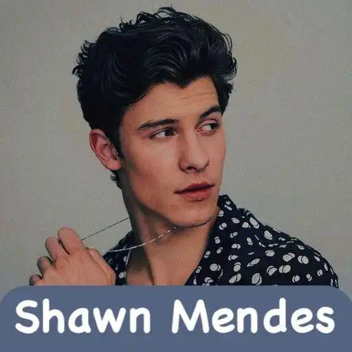 Play Shawn Mendes Lyrics/Wallpapers APK