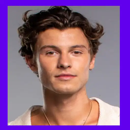 Play Shawn Mendes Music App APK