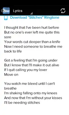 Play Shawn Mendes Music  Lyrics