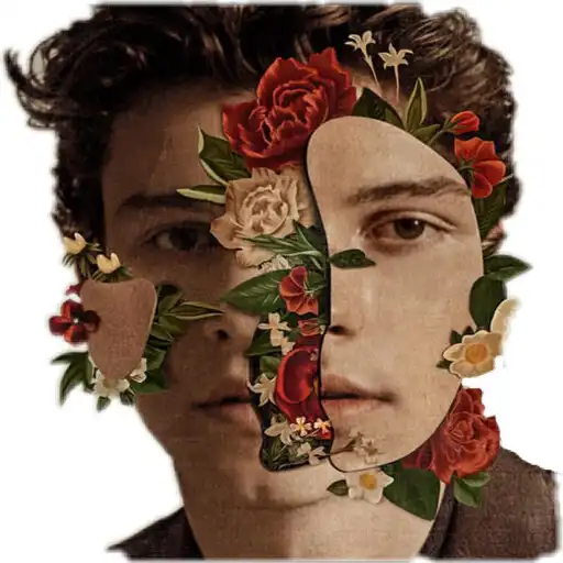 Play Shawn Mendes Quotes and Lyrics APK