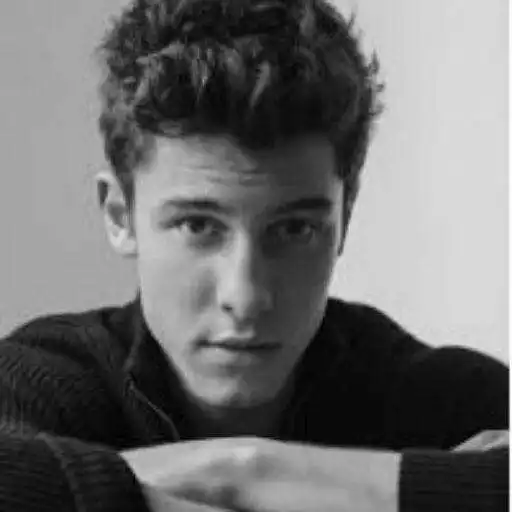 Free play online Shawn Mendes Songs APK Free play online Shawn Mendes Songs APK