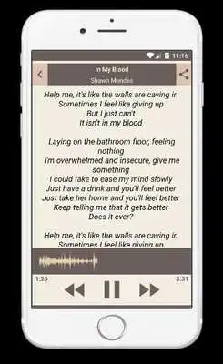 Play Shawn Mendes Songs