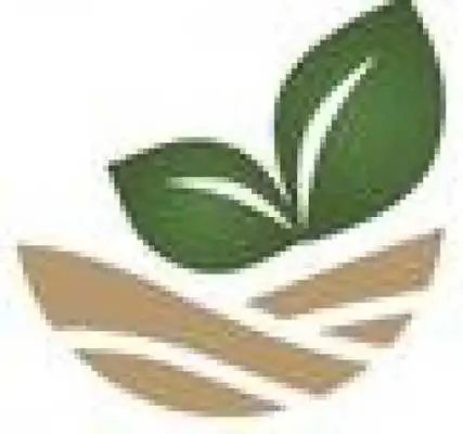 Play SheaNatural Skincare Products