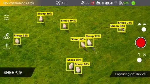 Play Sheep Counter as an online game online Sheep Counter with UptoPlay Play Sheep Counter as an online game Sheep Counter with UptoPlay