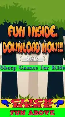 Play Sheep Games for Kids