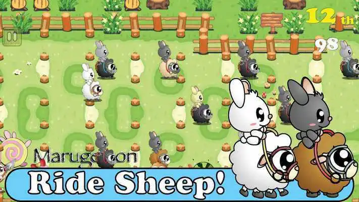 Play Sheepo Race - Bunny Riders