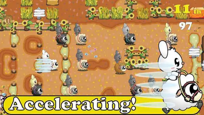 Play Sheepo Race - Bunny Riders