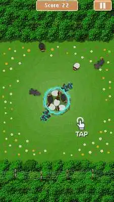 Play Sheep Shield : Android Wear