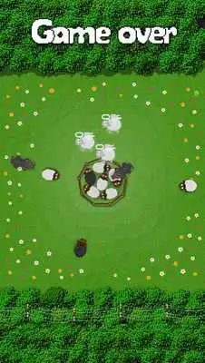 Play Sheep Shield : Android Wear