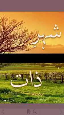 Play Shehr-e-Zaat
