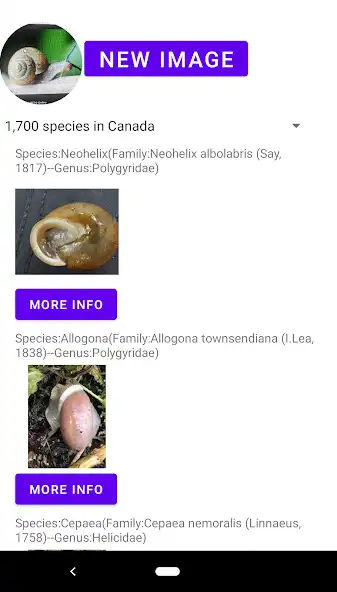 Play Shell identifier  and enjoy Shell identifier with UptoPlay