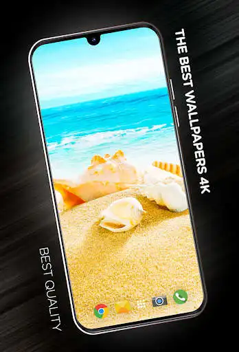 Play Shells Wallpapers in 4K  and enjoy Shells Wallpapers in 4K with UptoPlay