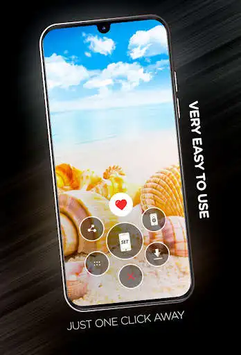 Play Shells Wallpapers in 4K as an online game Shells Wallpapers in 4K with UptoPlay