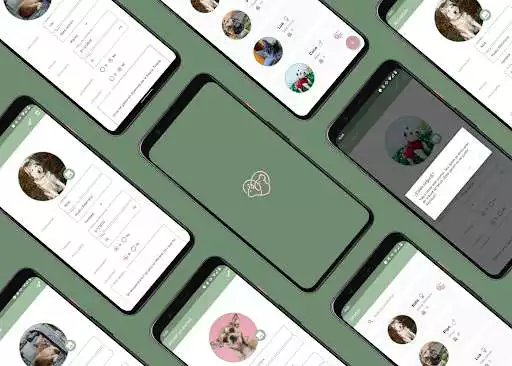 Play Shelter  and enjoy Shelter with UptoPlay
