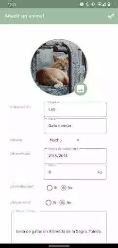 Play Shelter as an online game Shelter with UptoPlay