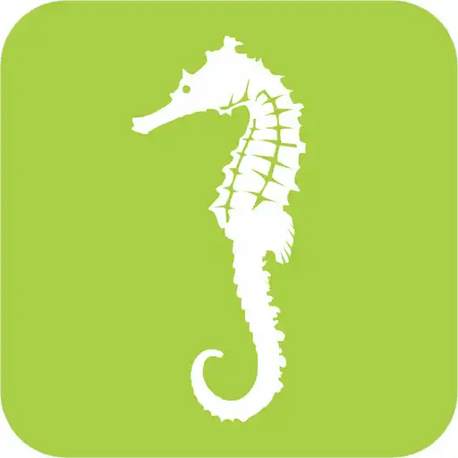 Play SHENCE APK Play SHENCE APK