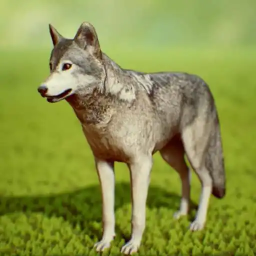 Play She Wolf APK