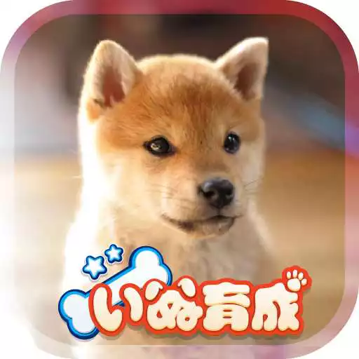 Play Shibainu Simulation Game 3D APK Play Shibainu Simulation Game 3D APK