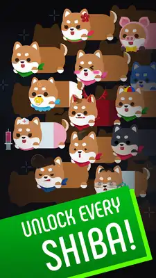 Play Shiba Long Play Shiba Long