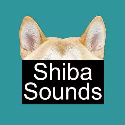 Play Shiba Sounds Free