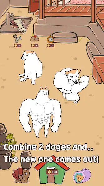 Play Shibe doge evolution  and enjoy Shibe doge evolution with UptoPlay