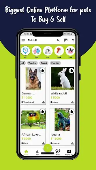 Play Shidull as an online game online Shidull with UptoPlay Play Shidull as an online game Shidull with UptoPlay