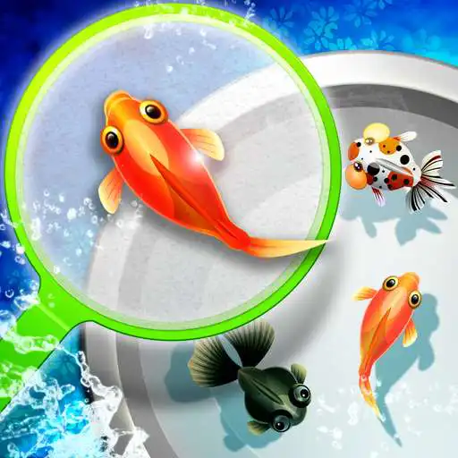 Play Shin Goldfish Scooping APK Play Shin Goldfish Scooping APK