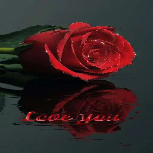 Play Shining Rose Live Wallpaper APK