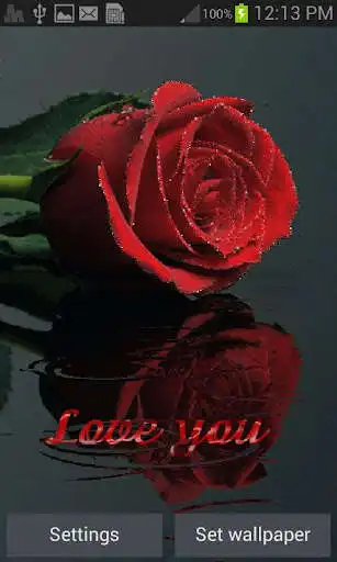 Play Shining Rose Live Wallpaper  and enjoy Shining Rose Live Wallpaper with UptoPlay