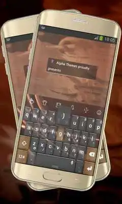 Play Shiny Orange Play Shiny Orange