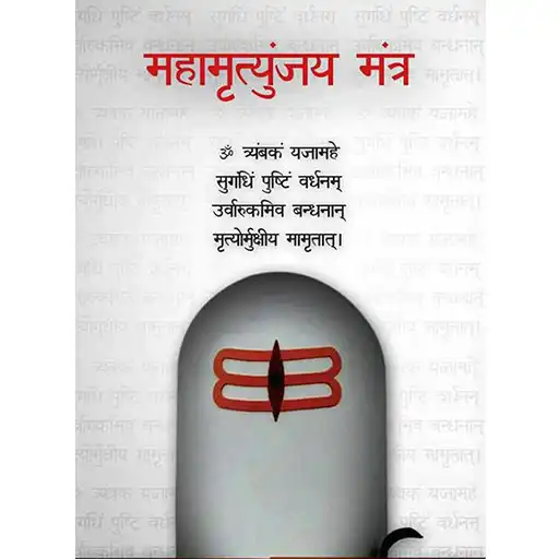 Play Shivji Mantra APK Play Shivji Mantra APK